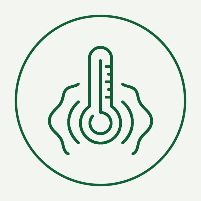minimalist-green-line-art-thermometer-icon-with-heat-waves-representing-gastrozen-transient-warm-sensation